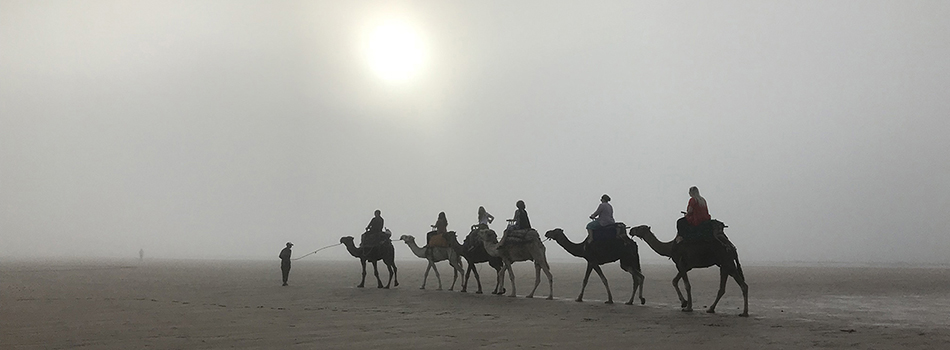 People Riding Camels