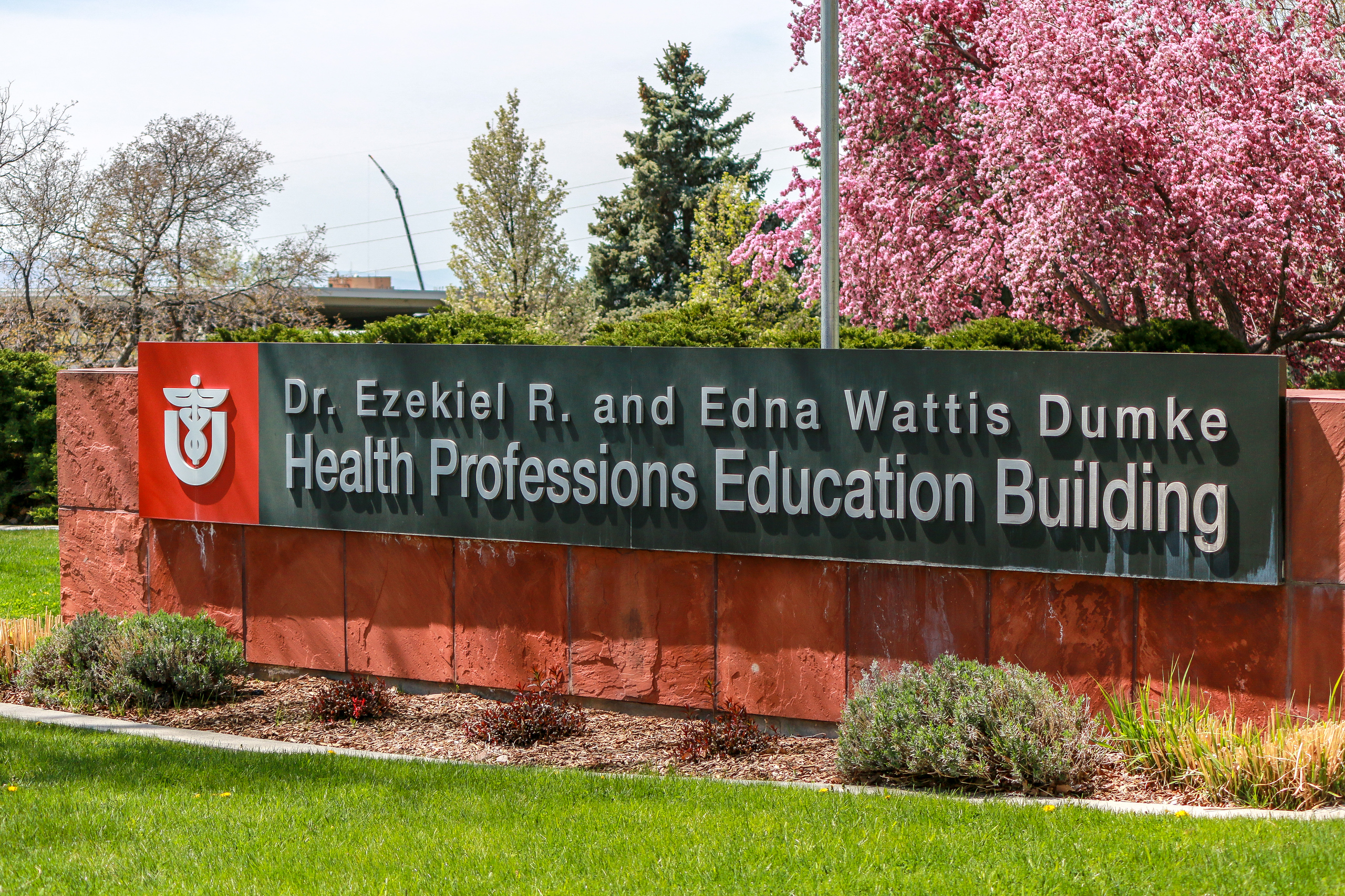 Dr. Ezekiel R. and Edna Wattis Dumke Health Professions Education Building Sign With Spring Blooms