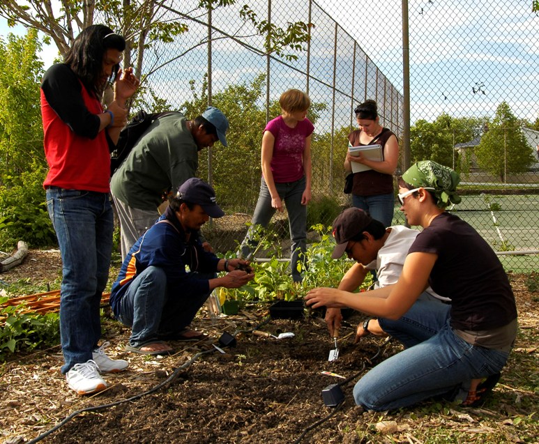 Immigration Resettlement Garden