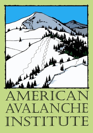 American Avalanche Institute Logo