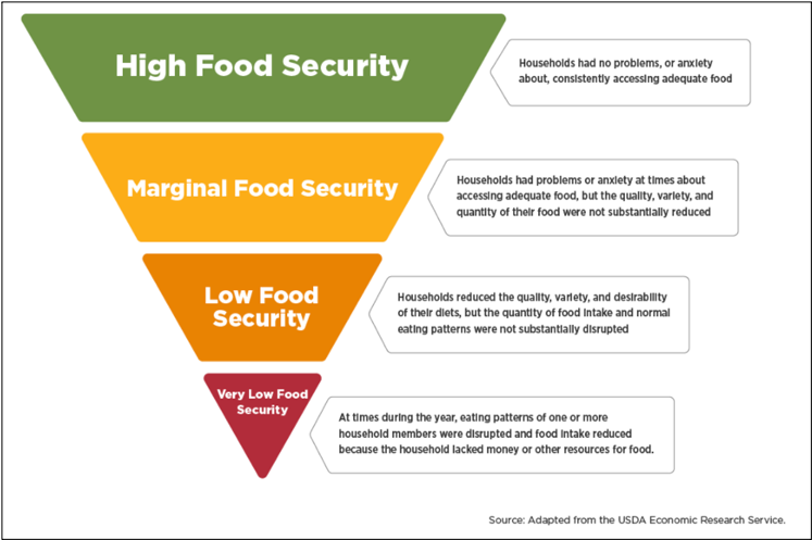 FMU Food Security Pyramid