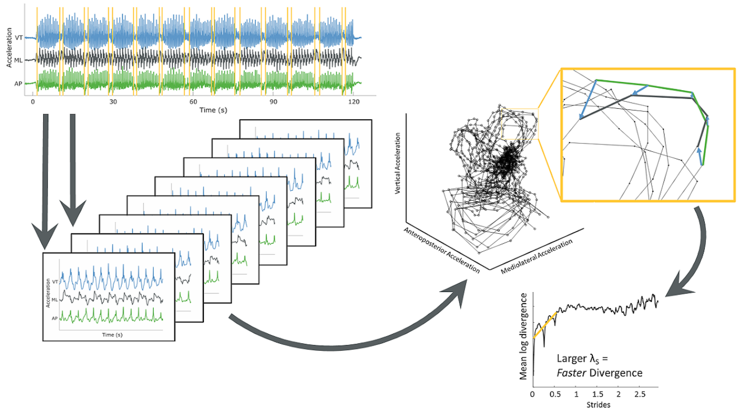 Nonlinear dynamic analysis of human movement