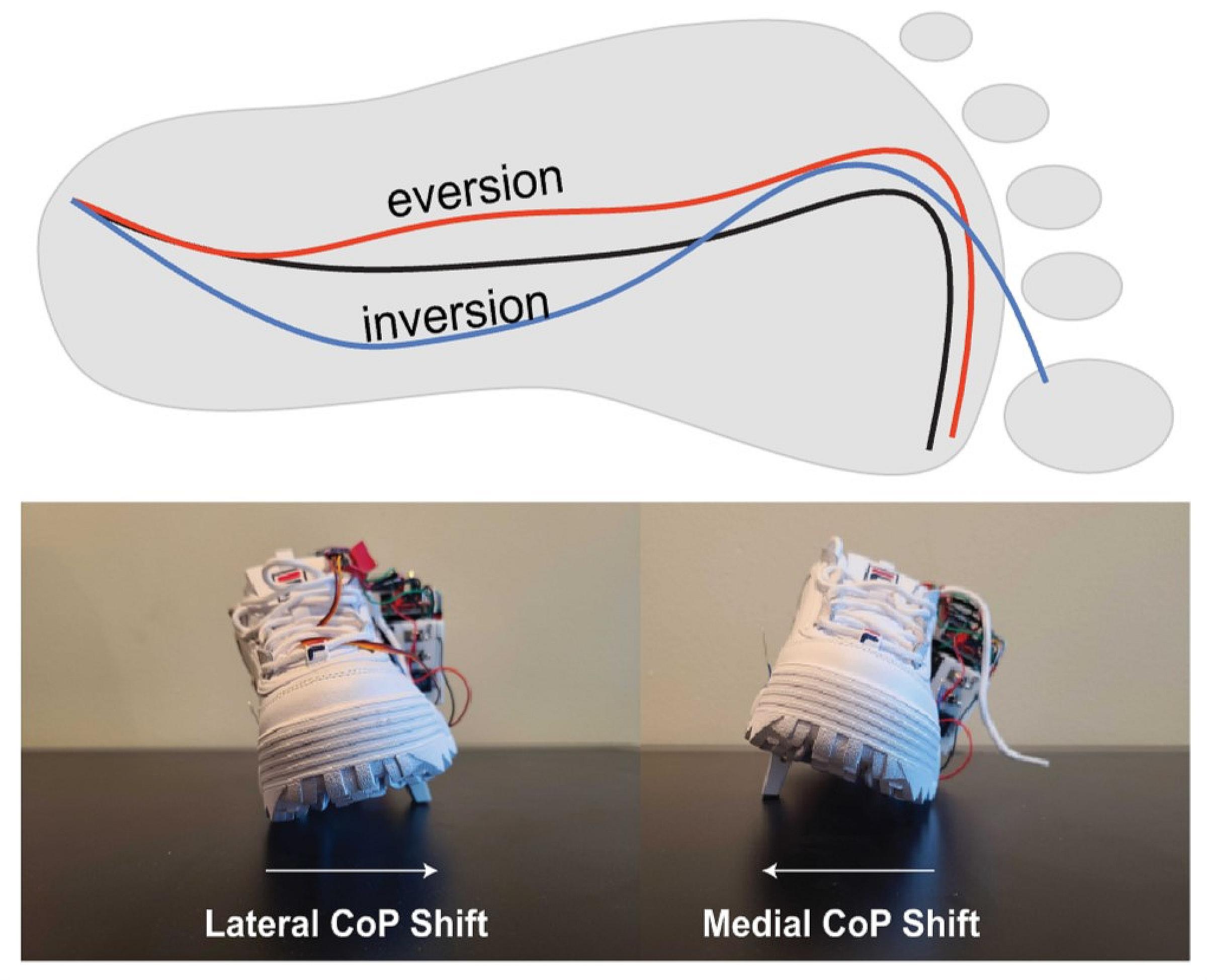 Eversion and Inversion Stability