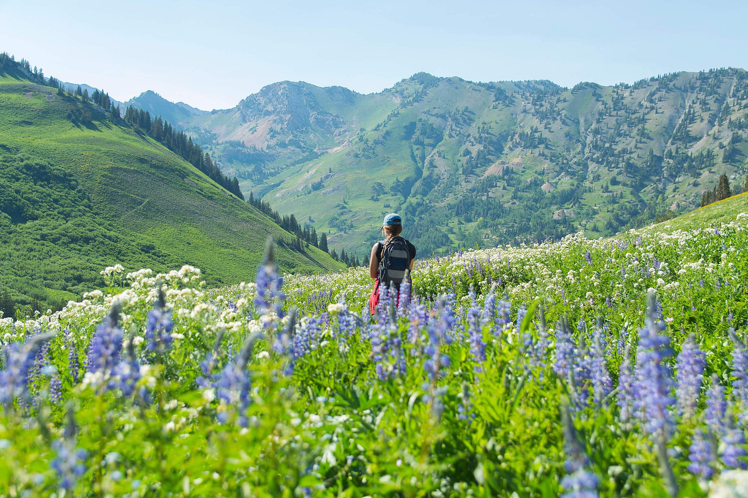 Big Cottonwood Canyon 