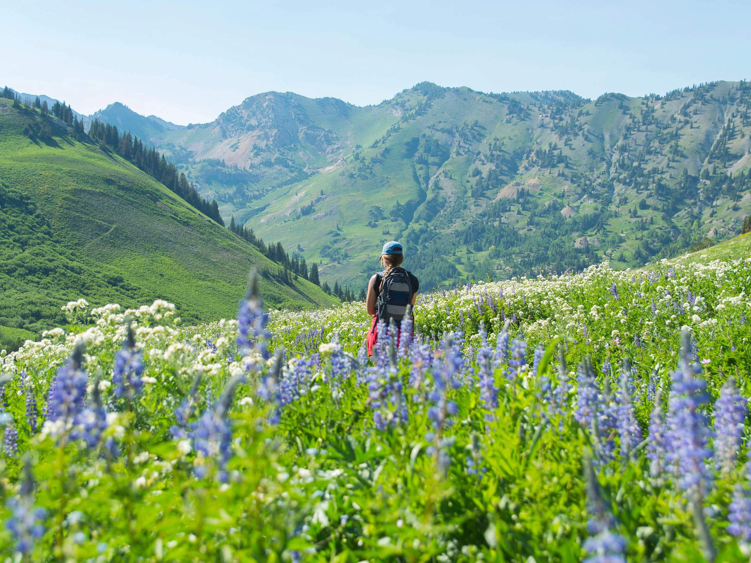 Big Cottonwood Canyon Hike