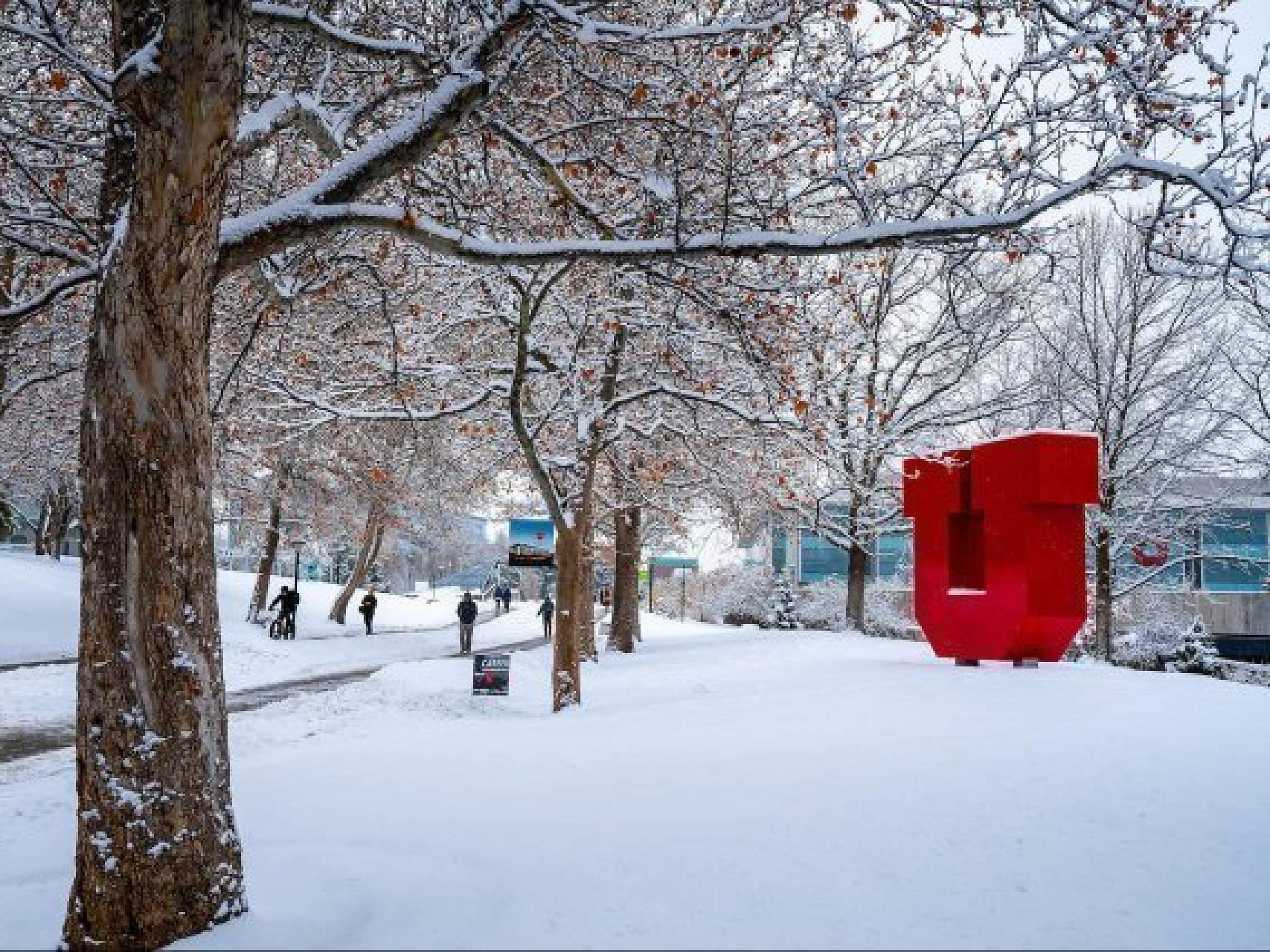 University of Utah Campus in Winter