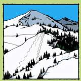 American Avalanche Institute