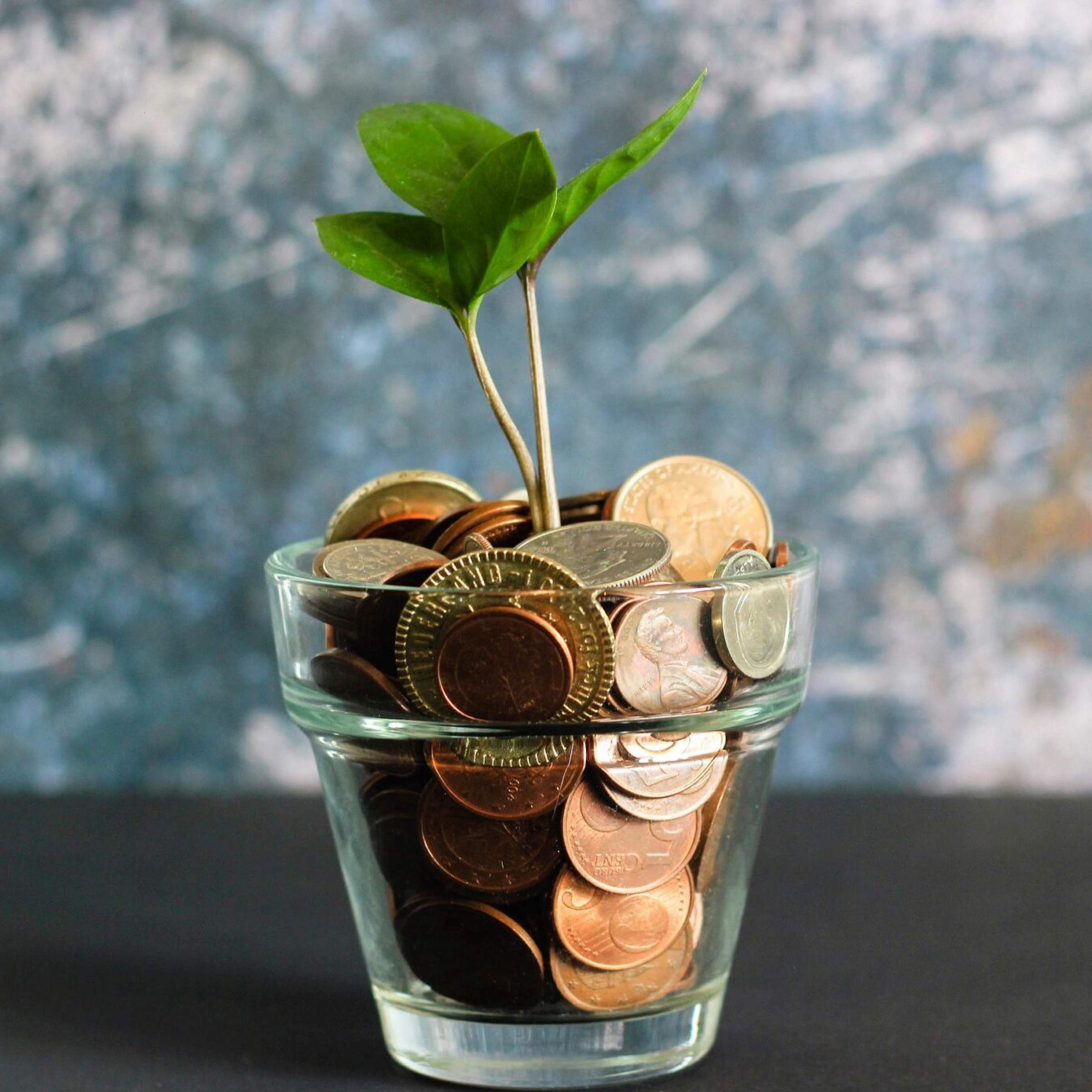 Financial Aid & Scholarships