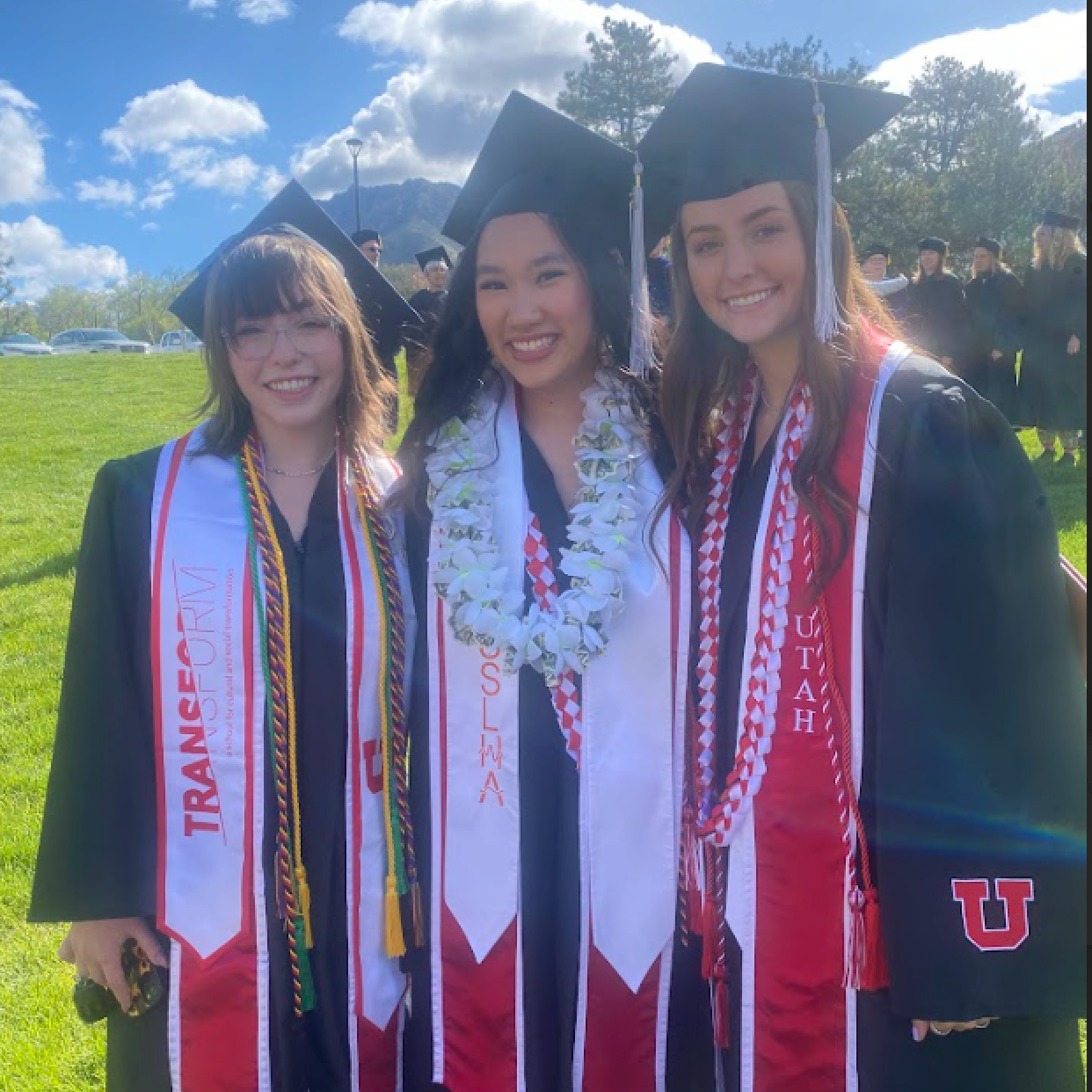 undergrads