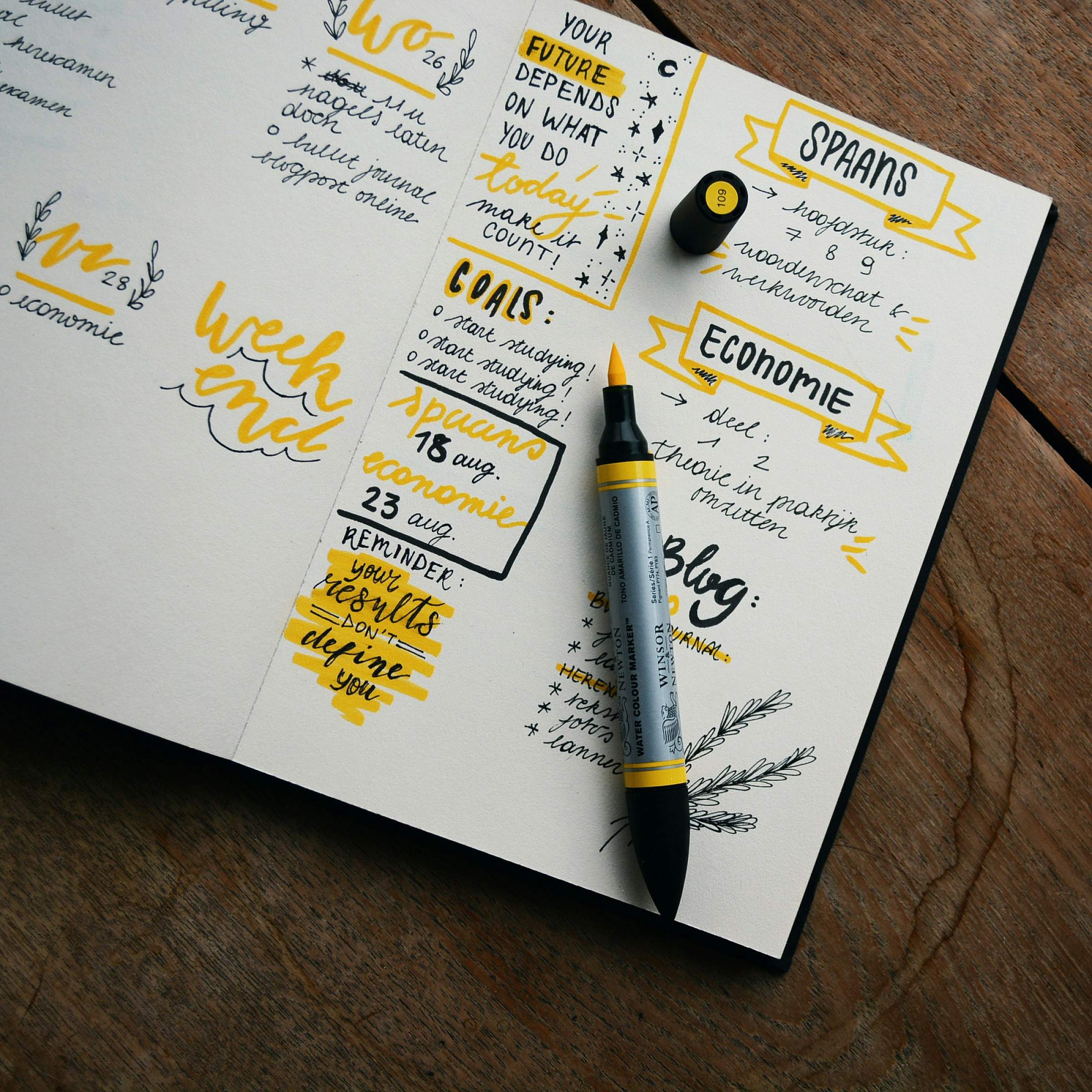 Academic Planning & Progress