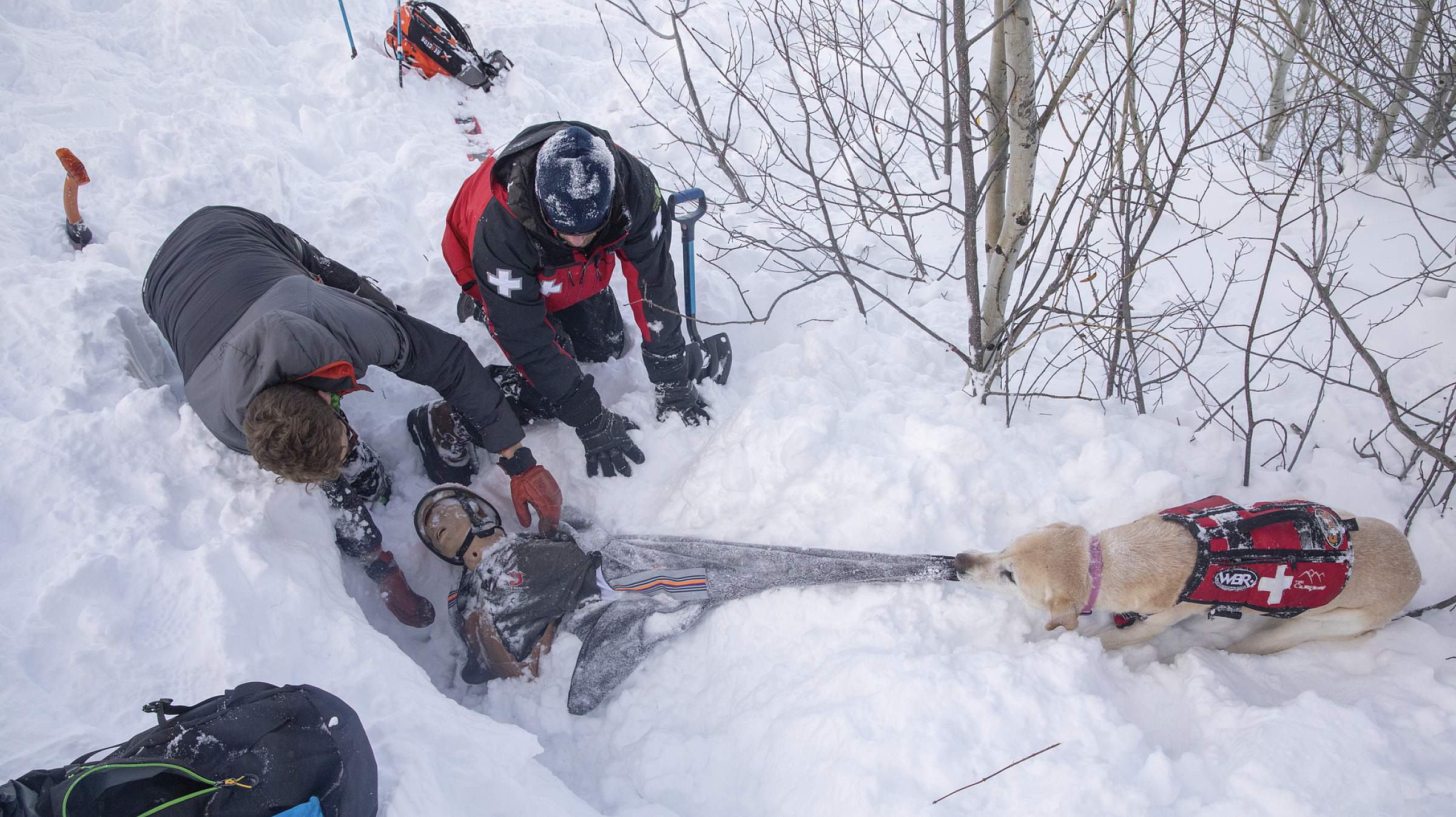 Remote Rescue Avalanche rescue